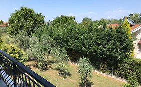 Dimeli 1