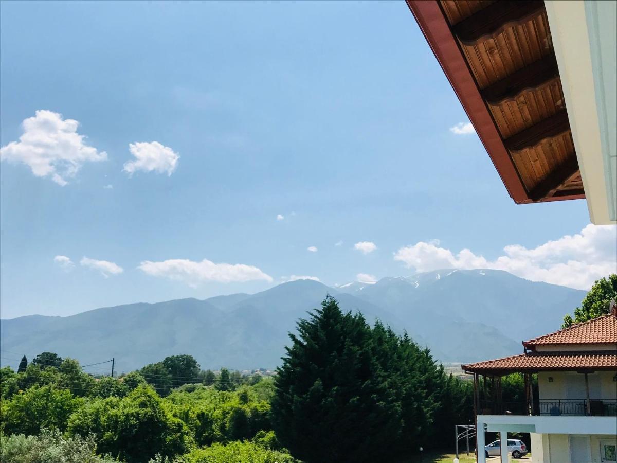 Dimeli 1 Διαμέρισμα Πλάκα Λιτόχωρου Εξωτερικό φωτογραφία